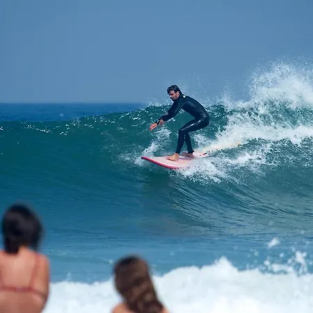 Surfivor Surf