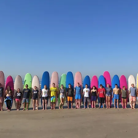 Surfivor Surf *