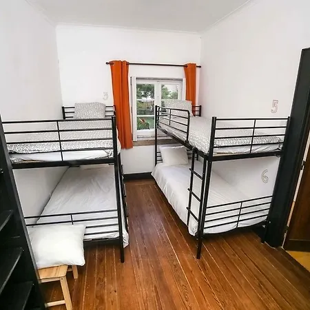 Surfivor Surf Hostel